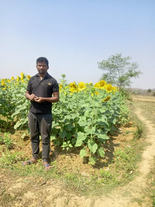 Panchanan Tudu