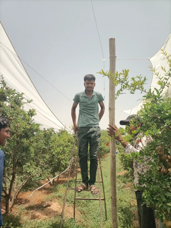 Ketansinh Rajput