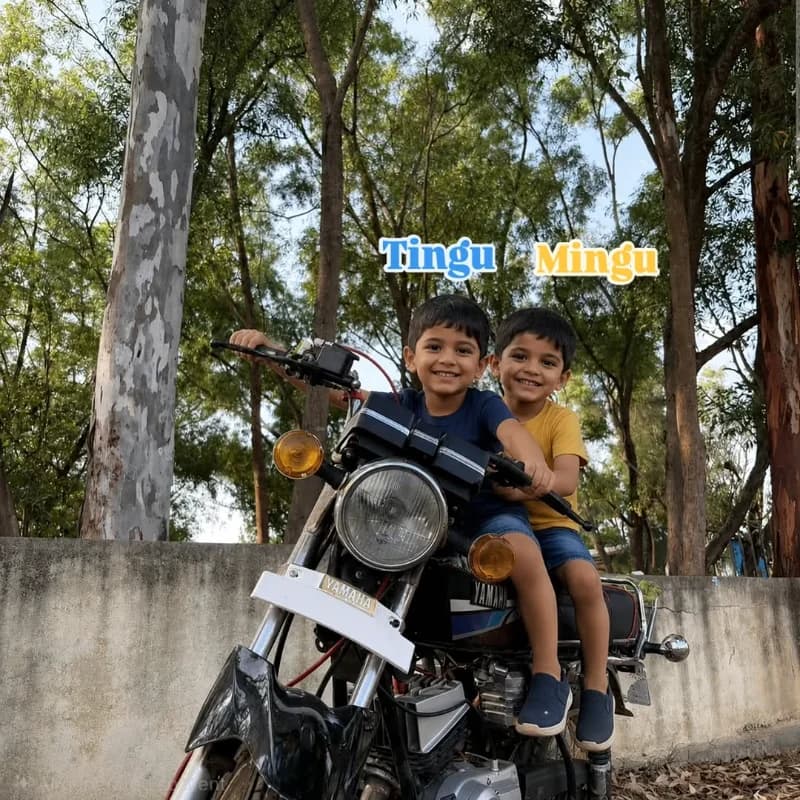 Tingu Mingu 