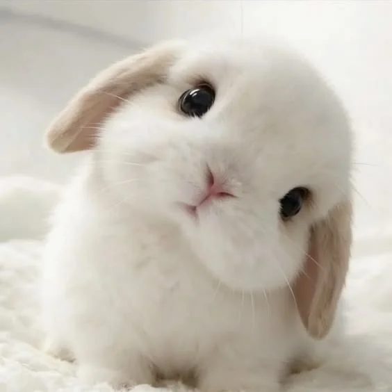 H~